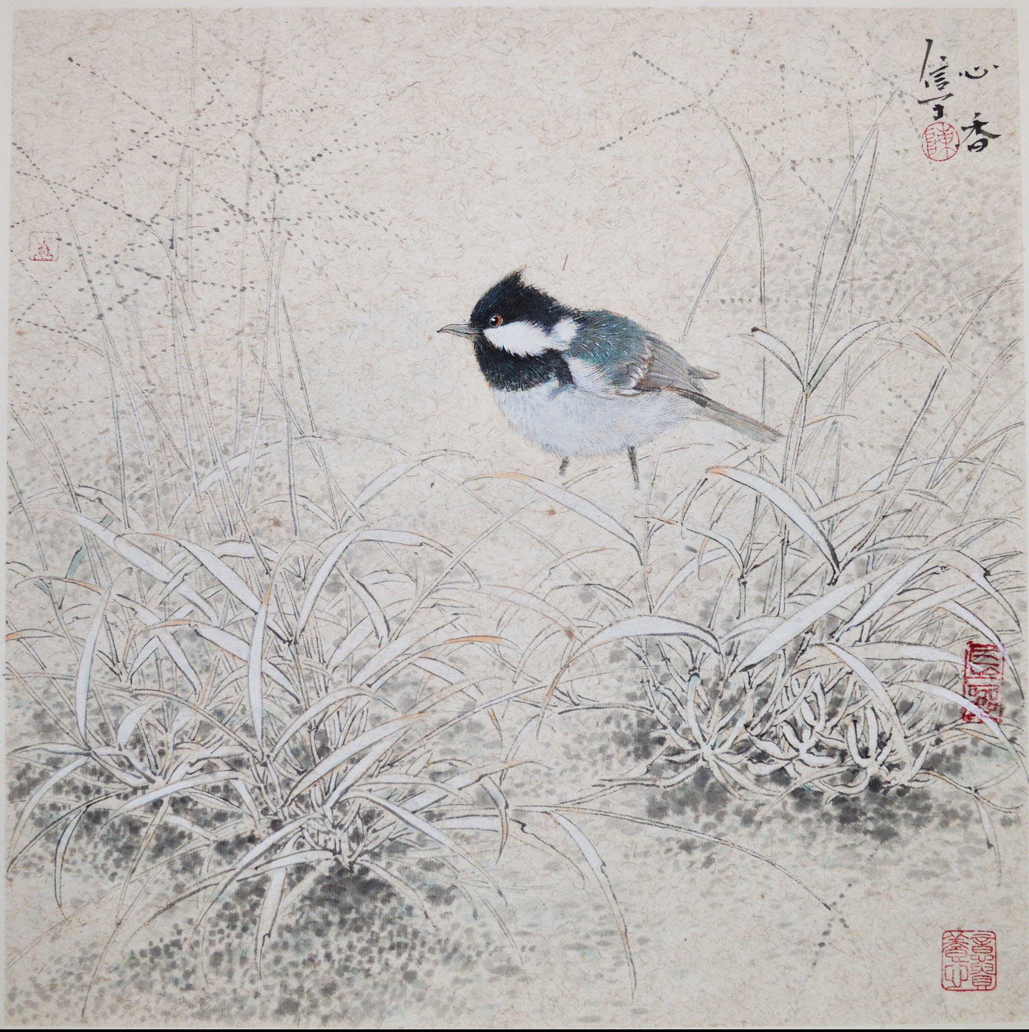 陈明信